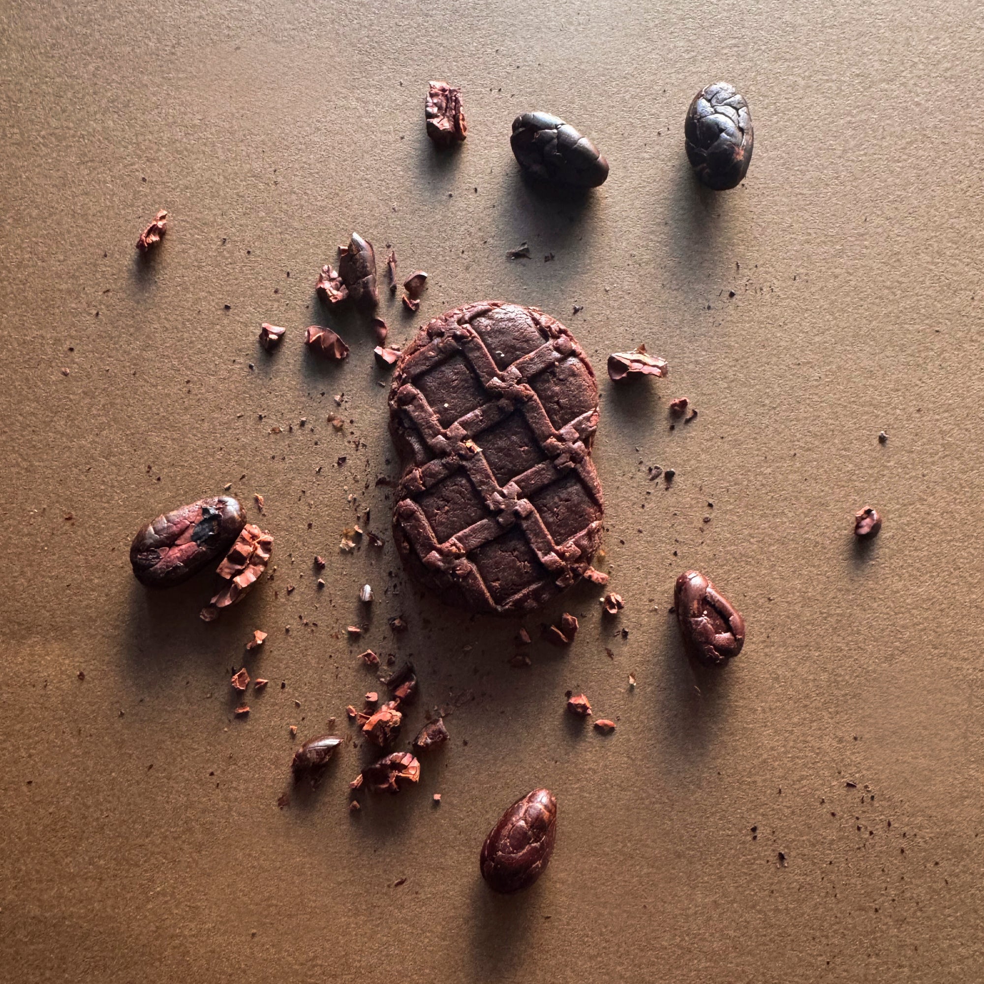 《有機カカオ》の濃密ビスキュイ(18枚入)