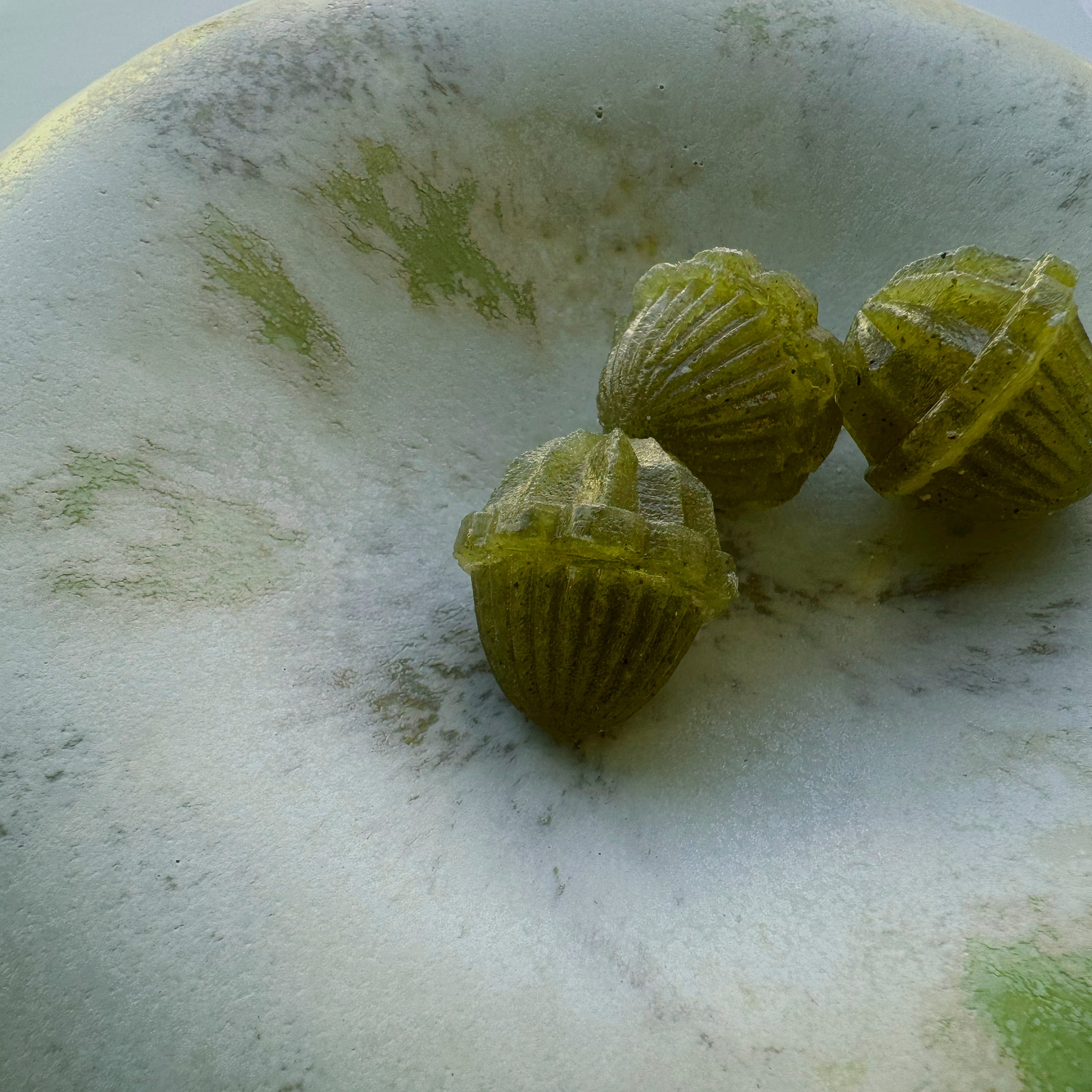 静寂の朝露《知覧茶の実》