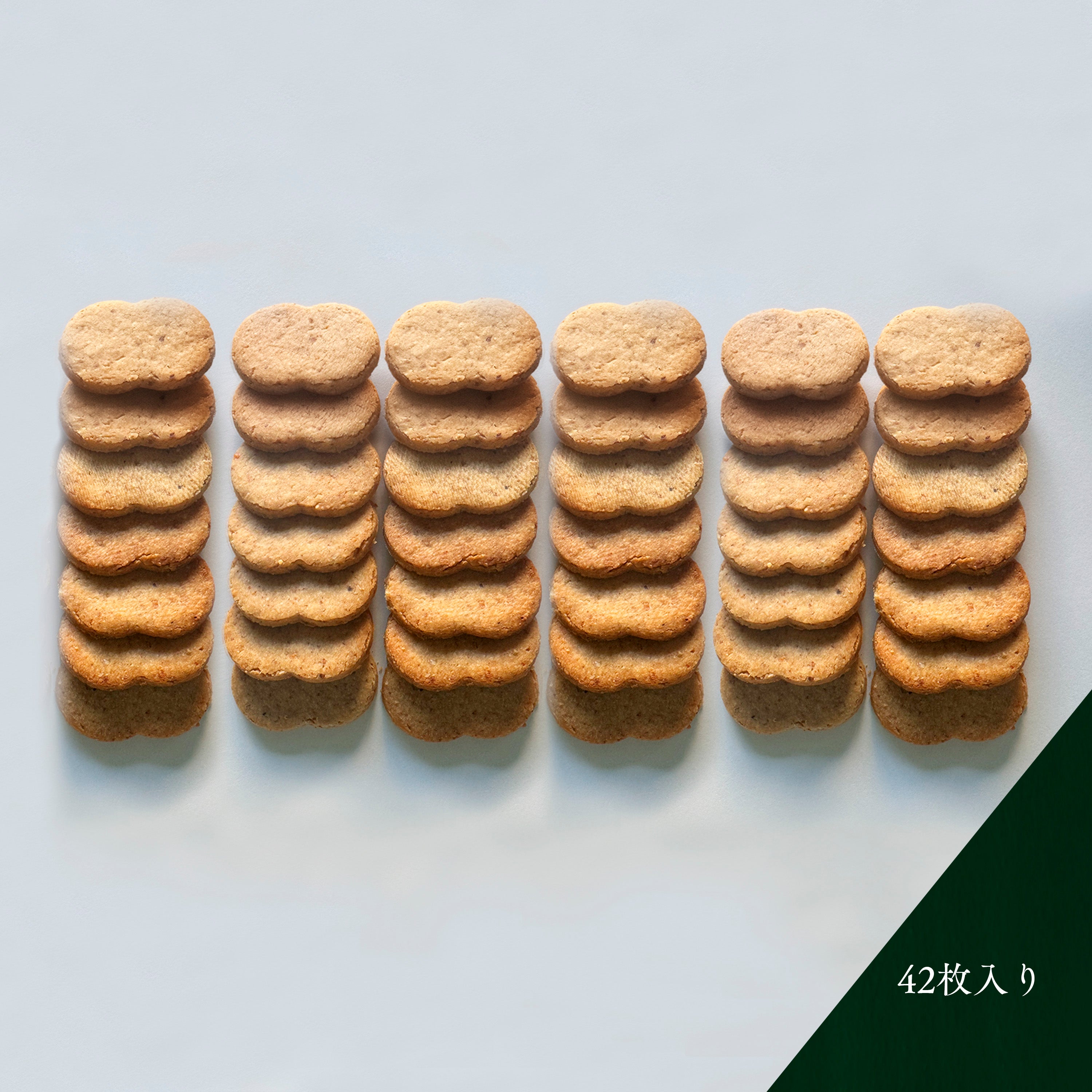 熨斗・銀糸付き|《熟成パルミジャーノ》の濃厚ビスキュイ