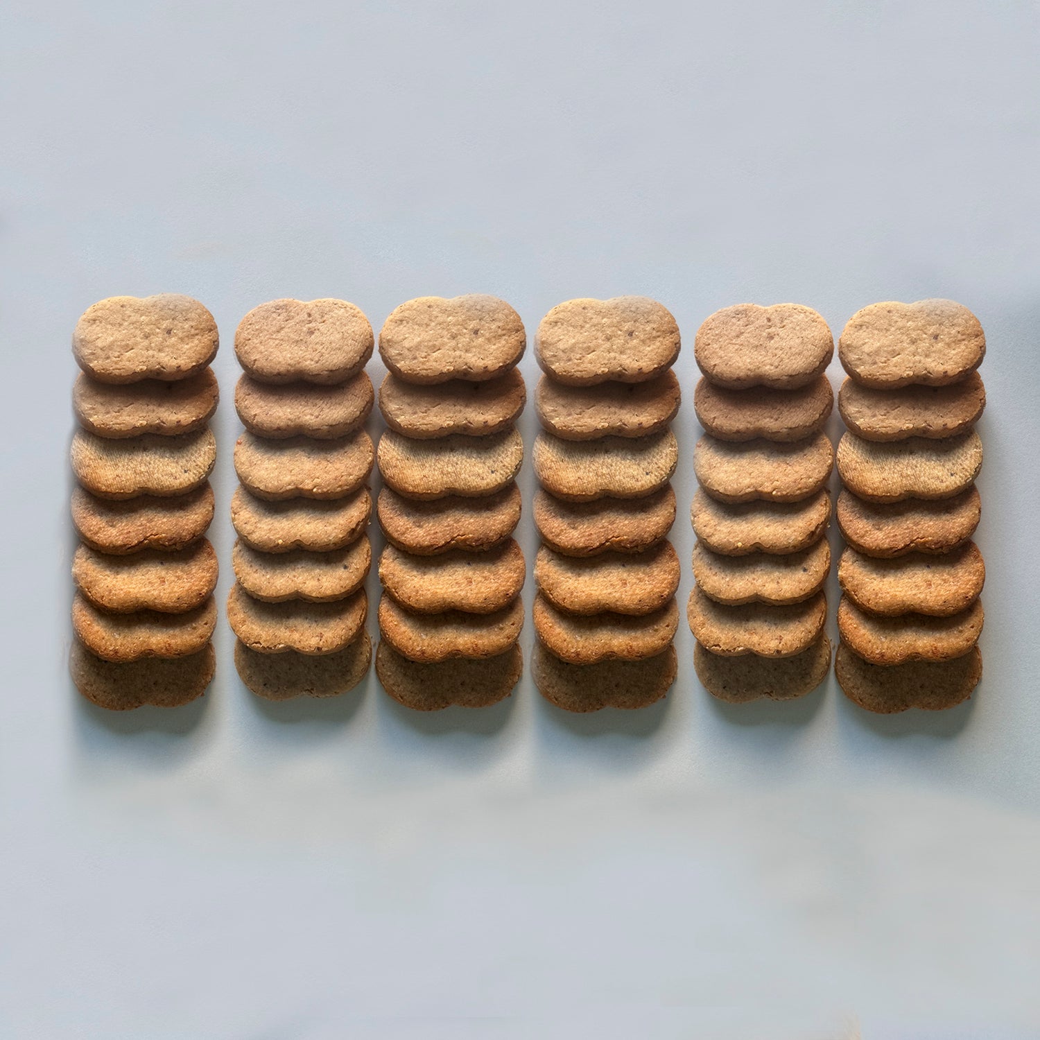 【12/26発送】-御年賀用-熨斗・銀糸付き パルミジャーノレッジャーノ ビスキュイ　（24枚・42枚）