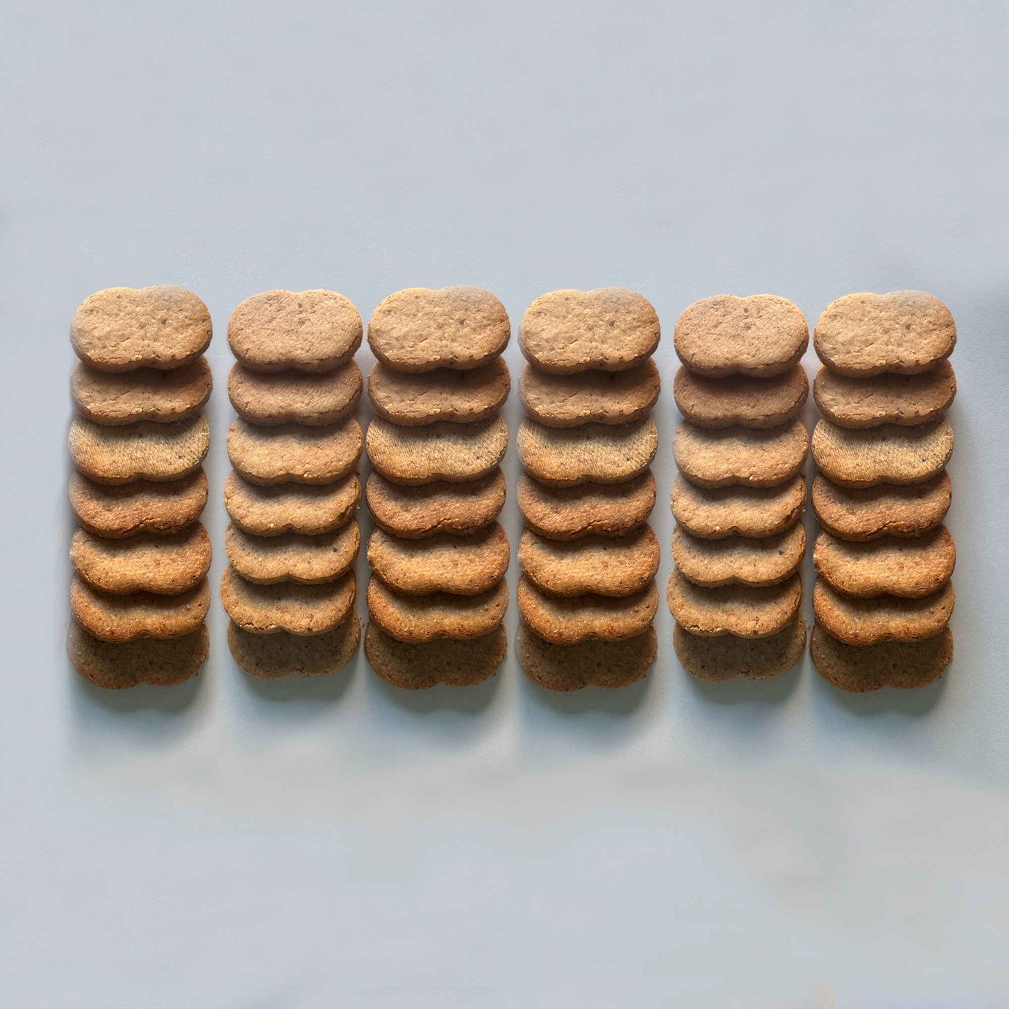 【12/26発送】-御年賀用-熨斗・銀糸付き パルミジャーノレッジャーノ ビスキュイ　（24枚・42枚）