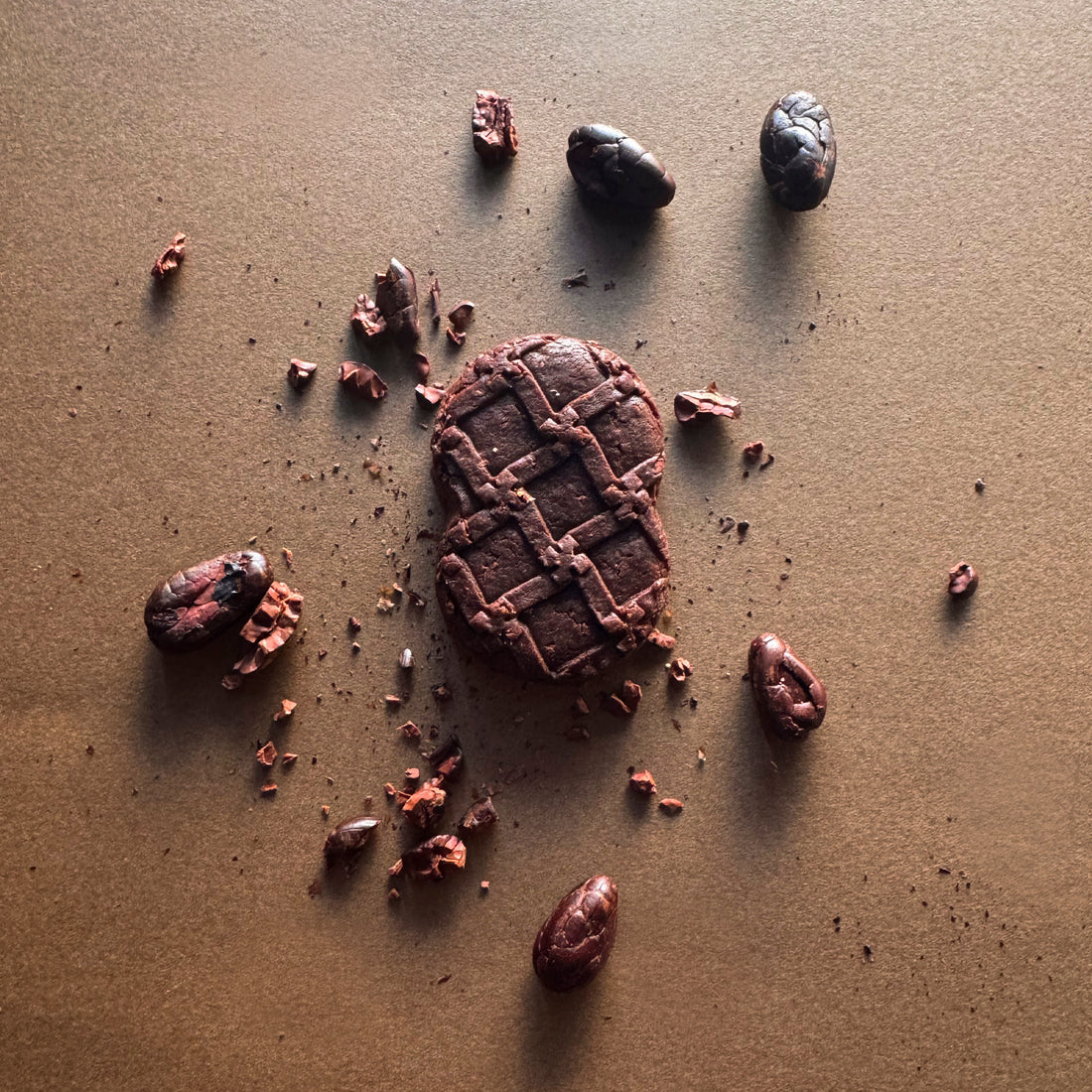 《有機カカオ》の濃密ビスキュイ(18枚入）