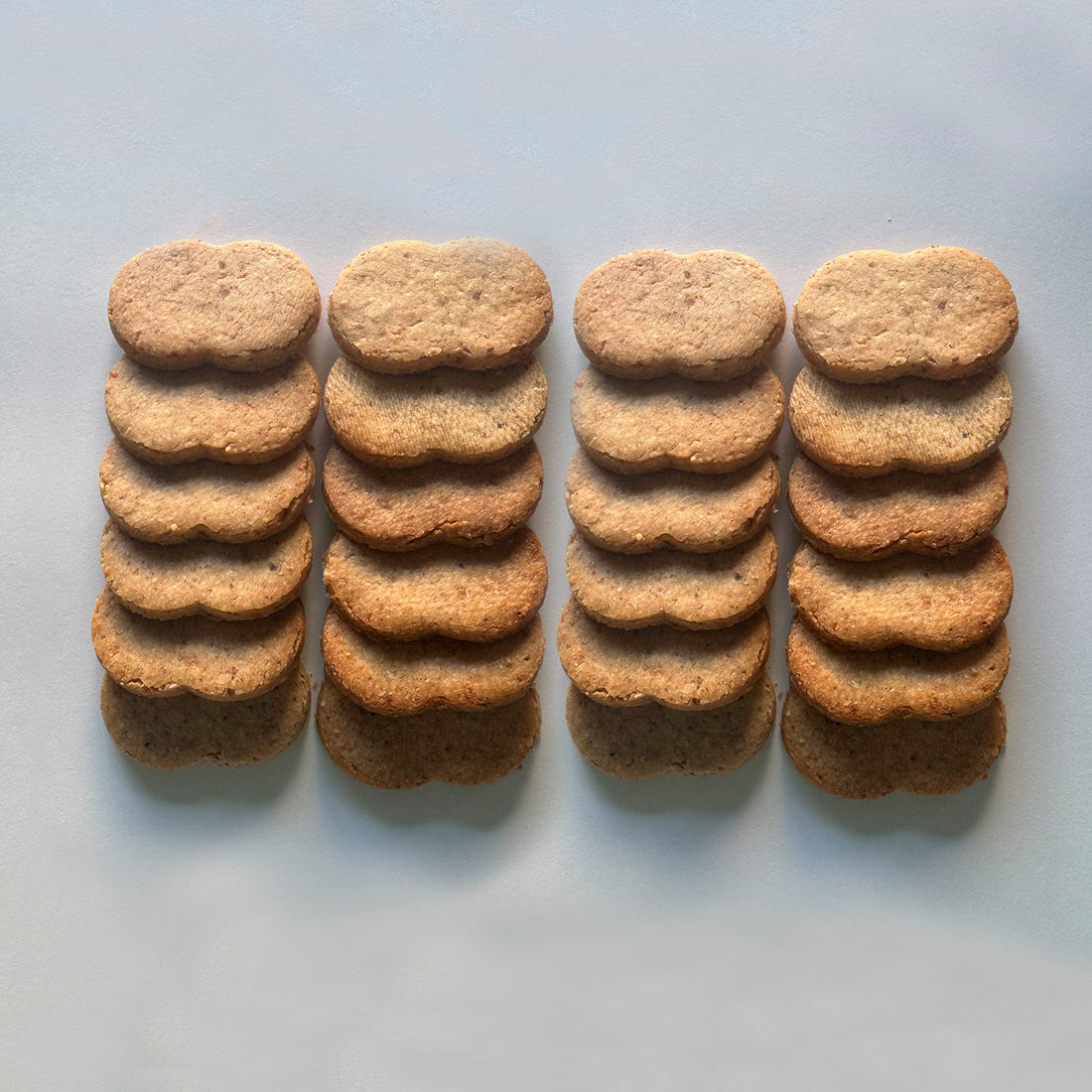 パルミジャーノ・レッジャーノ ビスキュイ（24枚・42枚）