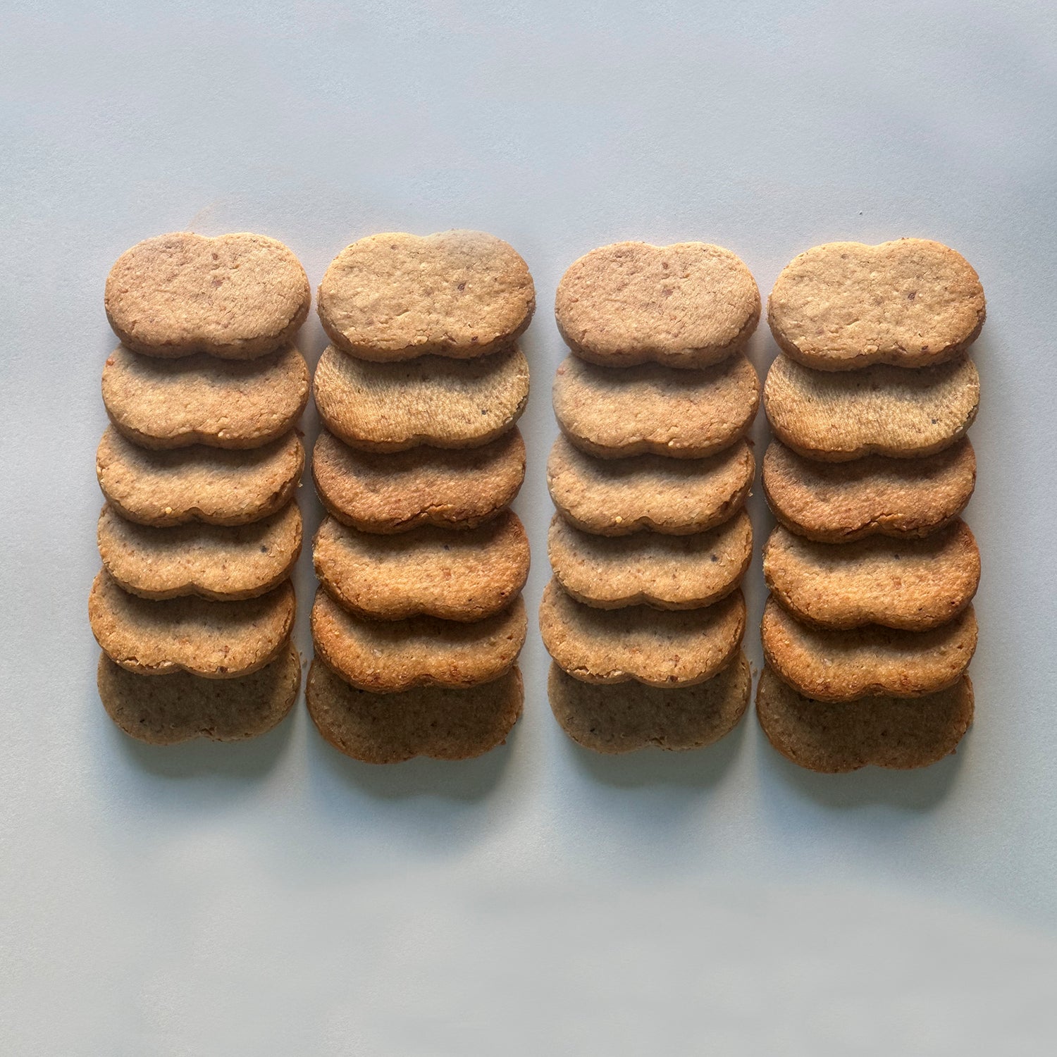 【12/26発送】-御年賀用-熨斗・銀糸付き パルミジャーノレッジャーノ ビスキュイ　（24枚・42枚）